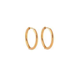 Σκουλαρίκια Γυναικεία SENZA Gold Plated Steel, κρικάκι 1.9 cm
