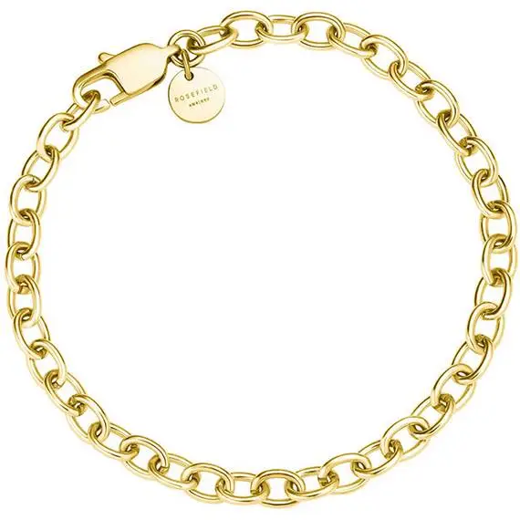 ROSEFIELD Oval Chainlink Χρυσό Βραχιόλι Από Ανοξείδωτο Ατσάλι 19cm JBOCG-J593