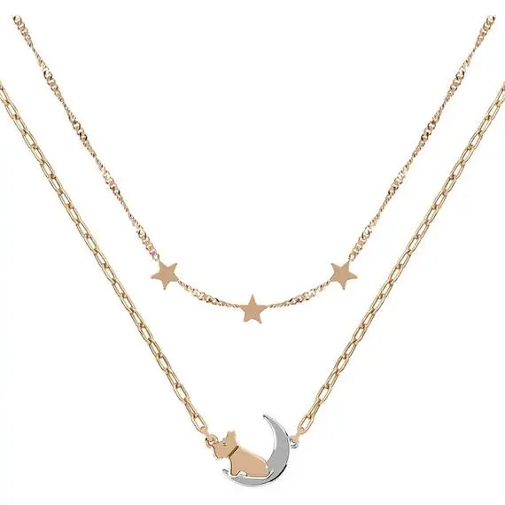 RADLEY LONDON Steel Necklace RYJ2211S