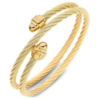 CERRUTI Stainless Steel Bracelet CIJLB0004302