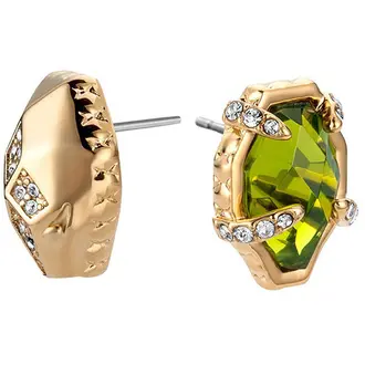 JUST CAVALLI Glam Chic Gold Stainless Steel Earrings JCER00710600