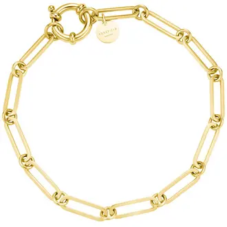ROSEFIELD Chunky Chain Χρυσό Βραχιόλι Από Ανοξείδωτο Ατσάλι 19cm JBRCG-J607