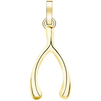 ROSEFIELD Stainless Steel Pendant PE-GOLD-WISHBONE