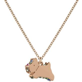 RADLEY LONDON Steel Necklace RYJ2328S
