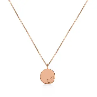 RADLEY LONDON Steel Necklace RYJ2116S