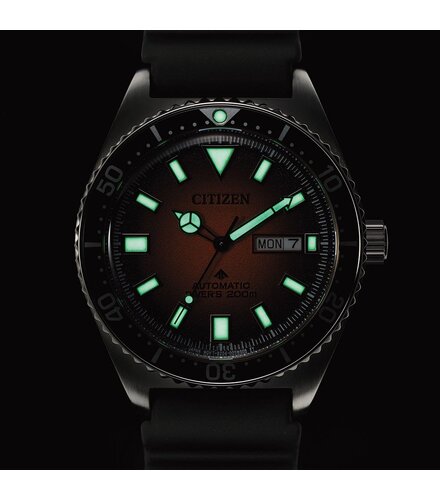 CITIZEN Promaster Divers Automatic NY0120-01ZE