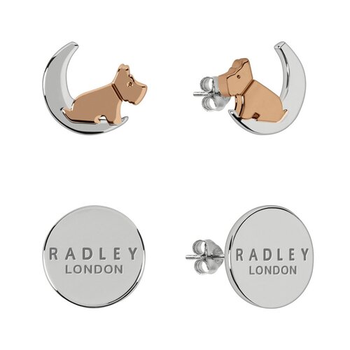 RADLEY LONDON Steel Earrings RYJ1211S