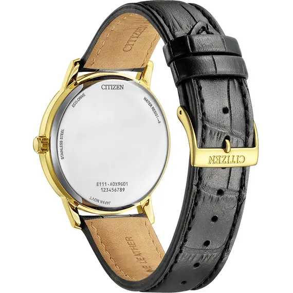 CITIZEN Eco-Drive BM6756-01A, image 3