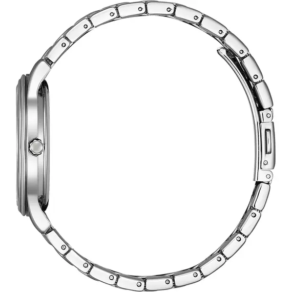 CITIZEN Elegance Eco-Drive EM0411-71A, image 2
