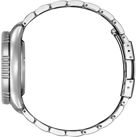 CITIZEN Promaster Divers Automatic NY0161-63LE, image 2