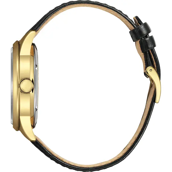 CITIZEN Automatic NY4059-09AE, image 2