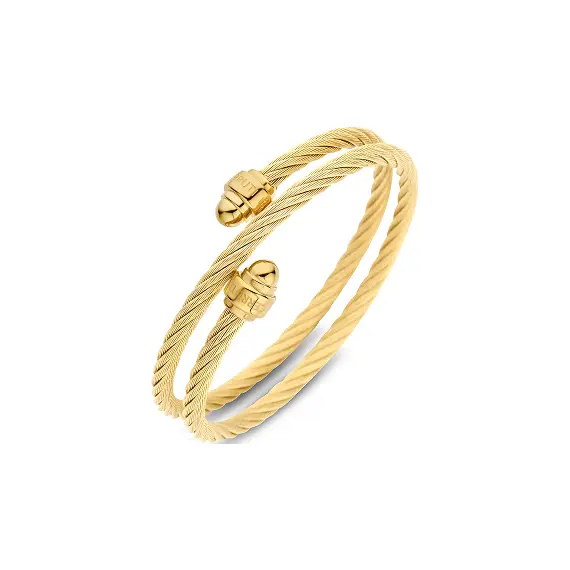 CERRUTI Stainless Steel Bracelet CIJLB0004302