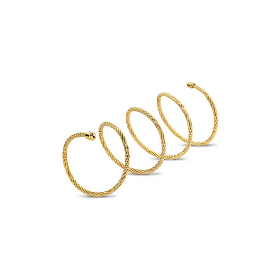 CERRUTI Stainless Steel Bracelet CIJLB0004308, image 2