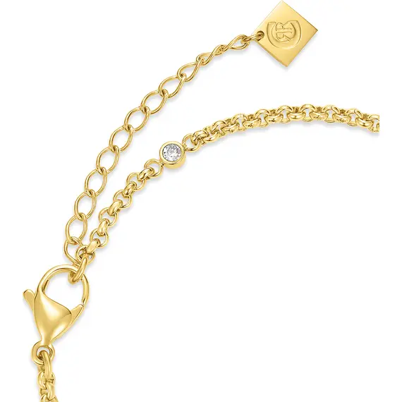 CERRUTI Alessia Βραχιόλι Από Ανοξείδωτο Ατσάλι 17cm-20.5cm CIJLB0011302, image 3