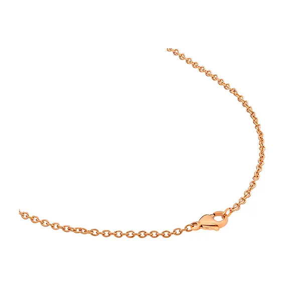CERRUTI Papillon Κολιέ Από Ανοξείδωτο Ατσάλι 50cm CIJLN0000803, image 3