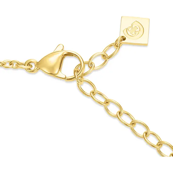 CERRUTI Katerina Κολιέ Από Ανοξείδωτο Ατσάλι 50cm CIJLN0011602, image 3