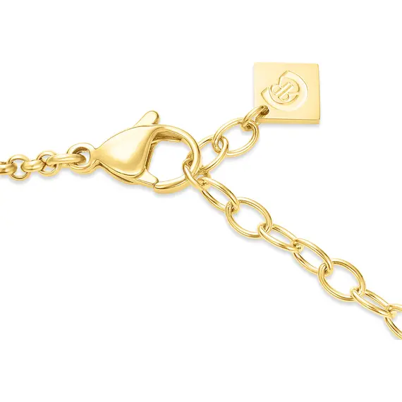 CERRUTI Carlotta Κολιέ Από Ανοξείδωτο Ατσάλι 50cm CIJLN0011801, image 3