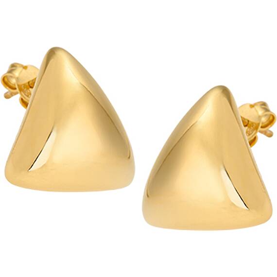 BREEZE Silver 925 Earrings 213048.1