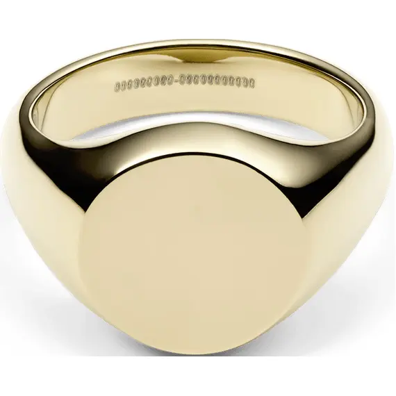 DANIEL WELLINGTON Classic Signet Stainless Steel Ring DW00401175