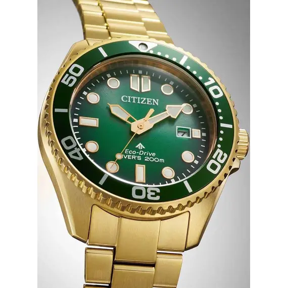 CITIZEN Promaster Diver Eco-Drive BN0262-59W, image 2