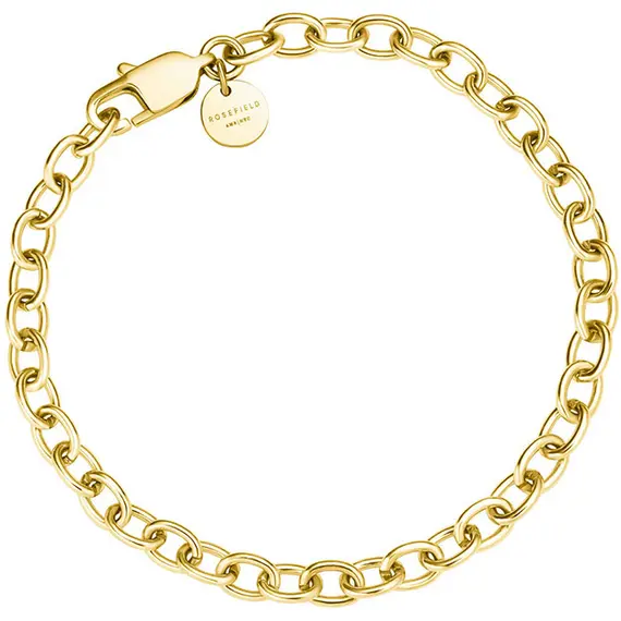 ROSEFIELD Oval Chainlink Χρυσό Βραχιόλι Από Ανοξείδωτο Ατσάλι 19cm JBOCG-J593