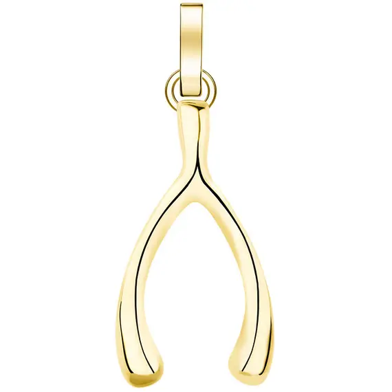 ROSEFIELD Lucky Χρυσό Μενταγιόν Wishbone Από Ανοξείδωτο Ατσάλι PE-GOLD-WISHBONE