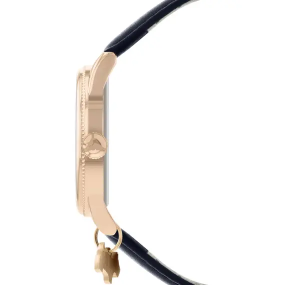 RADLEY LONDON RY21352-INT, image 3