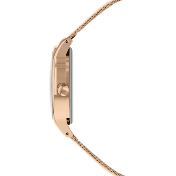 RADLEY LONDON Dog In Moon RY4536A, image 3