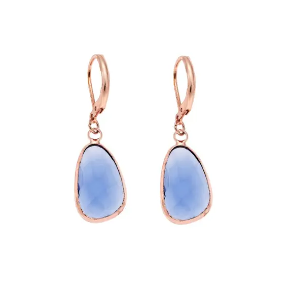 Σκουλαρίκια SENZA Steel Rose Gold Plated