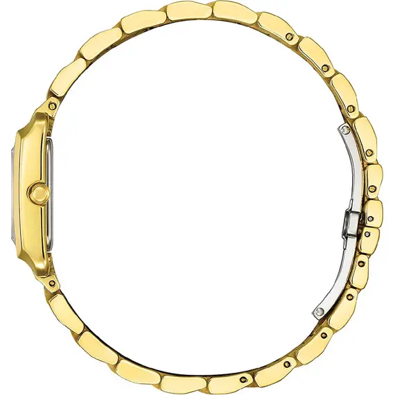 CITIZEN L Eco-Drive Elegance EW5602-81D, image 2