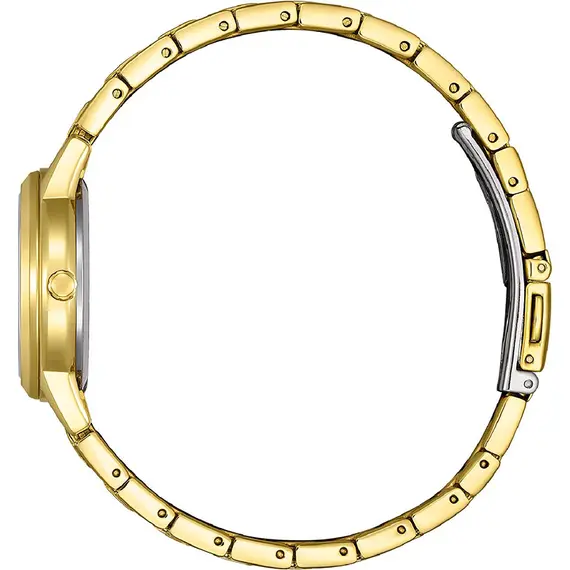CITIZEN Classic Eco-Drive FE1242-78D, image 2
