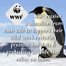 TIKKERS WWF Green Strap Penguin Set TKWWF004-SET
