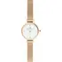 DANIEL WELLINGTON Petite Mini Evergold DW00100745
