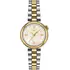 TISSOT Desir T1520102211801