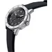 THORTON Borg 9201231, image 3