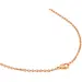 CERRUTI Papillon Κολιέ Από Ανοξείδωτο Ατσάλι 50cm CIJLN0000803, image 3