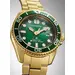 CITIZEN Promaster Diver Eco-Drive BN0262-59W, image 2