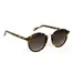 OOZOO Sunglasses OSG003-C4, image 2