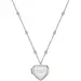 RADLEY LONDON Locket Ασημένιο Κολιέ Από Ατσάλι RYJ2329S