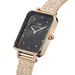 DANIEL WELLINGTON Quadro Pressed Piano Lumine MOP DW00100579, image 2