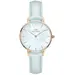 DANIEL WELLINGTON Petite Bluebell MOP DW00100635
