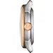 TISSOT Chemin Des Tourelles Powermatic 80 T1392072203800, image 3