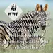 TIKKERS WWF Orange Strap Zebra TKWWF006, image 6