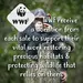 TIKKERS WWF Green Strap Chimpanzee TKWWF008, image 6