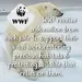 TIKKERS WWF Blue Strap Polar Bear TKWWF010, image 6